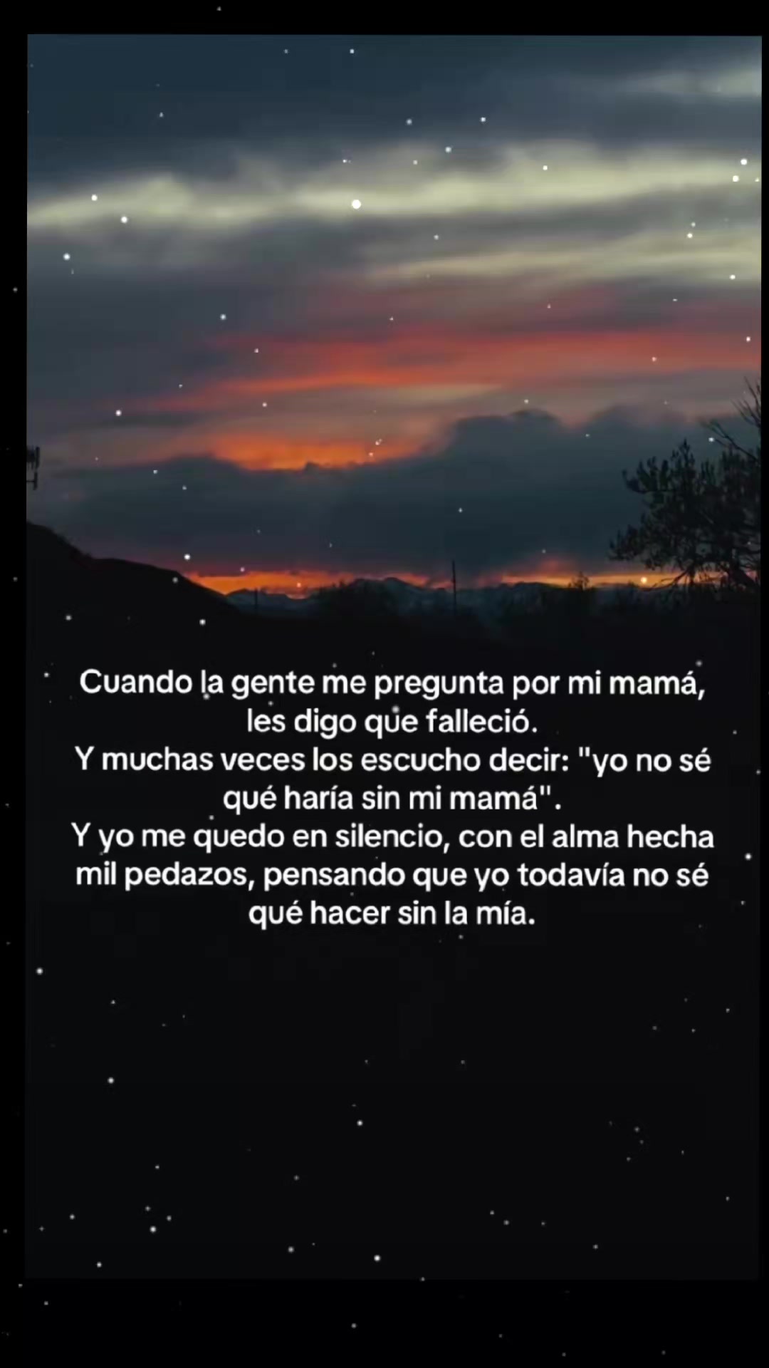 @rodriiguiit00