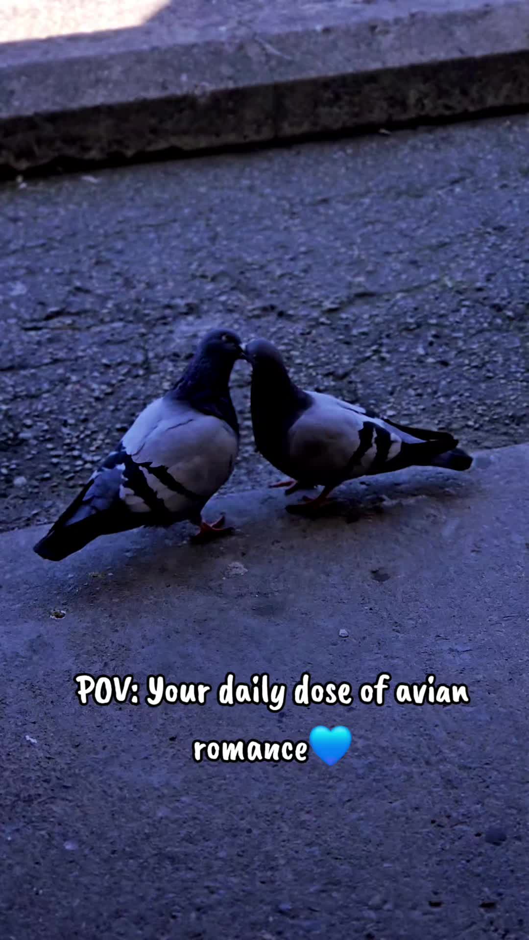 @கி💙🧿メ𝟶