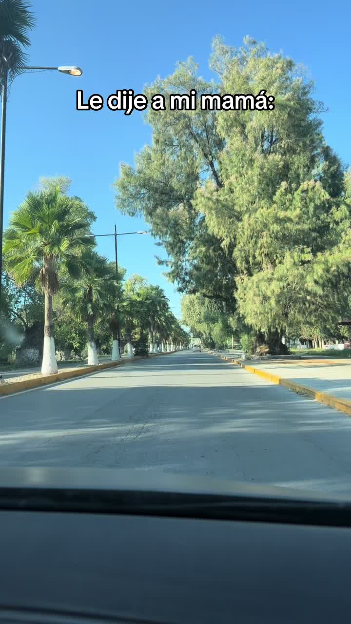@Guerrero Dragon