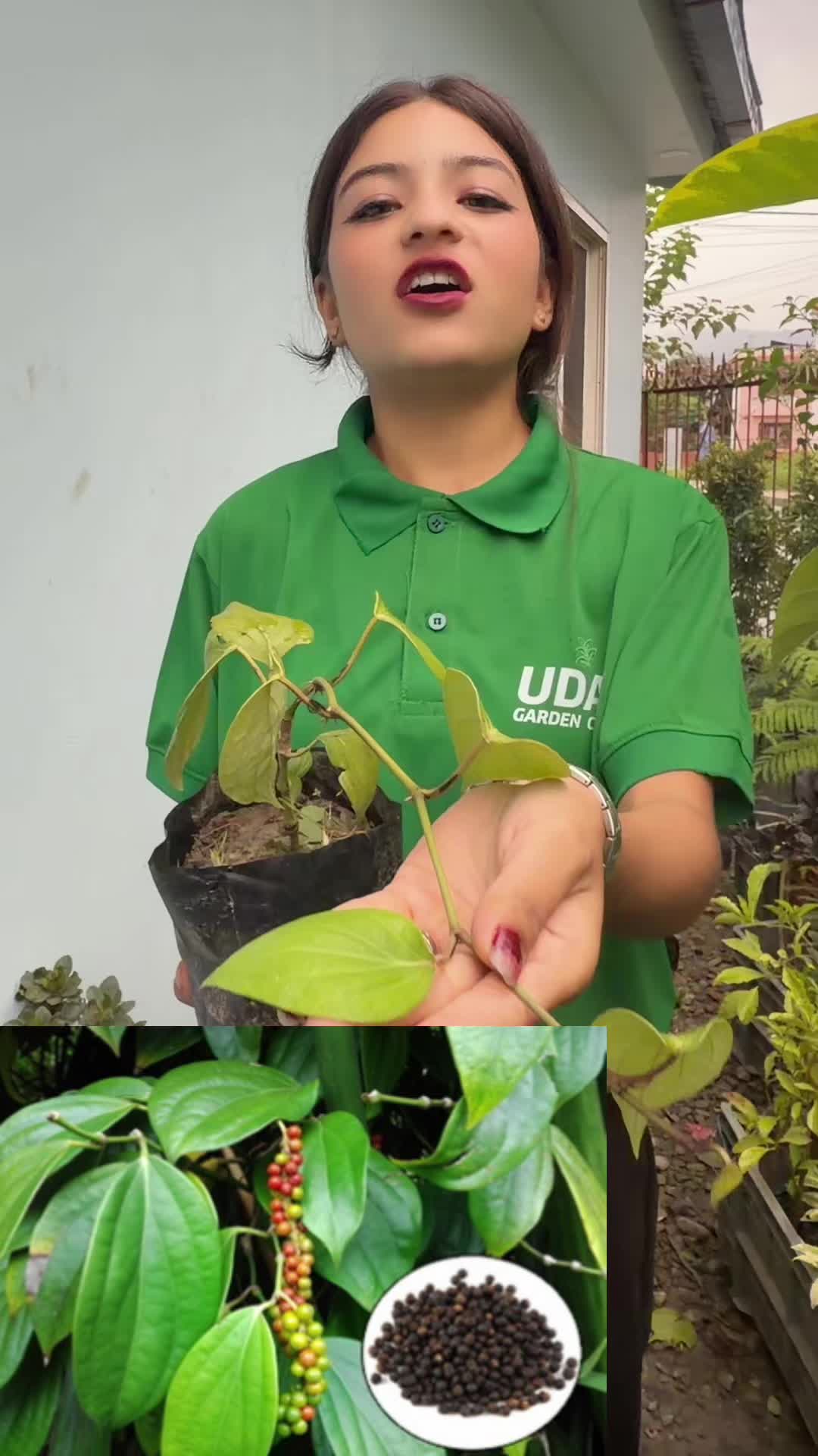 @Uday Garden Centre
