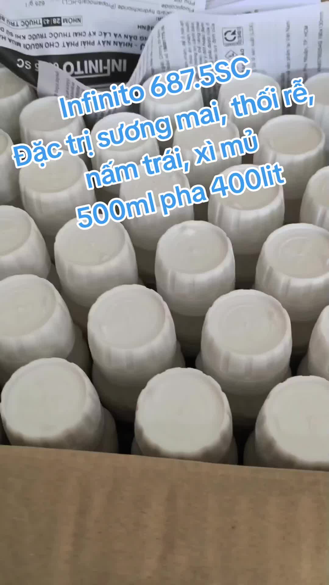 @VTNN Minh Tuấn