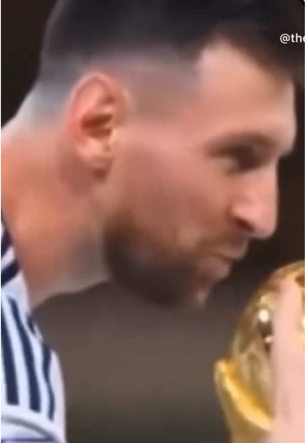 @faroreptiliano