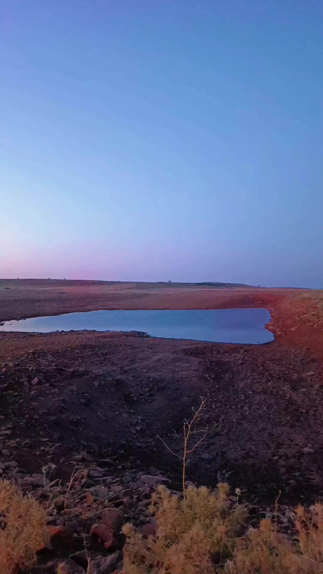 @Süleyman21 🐊🐊