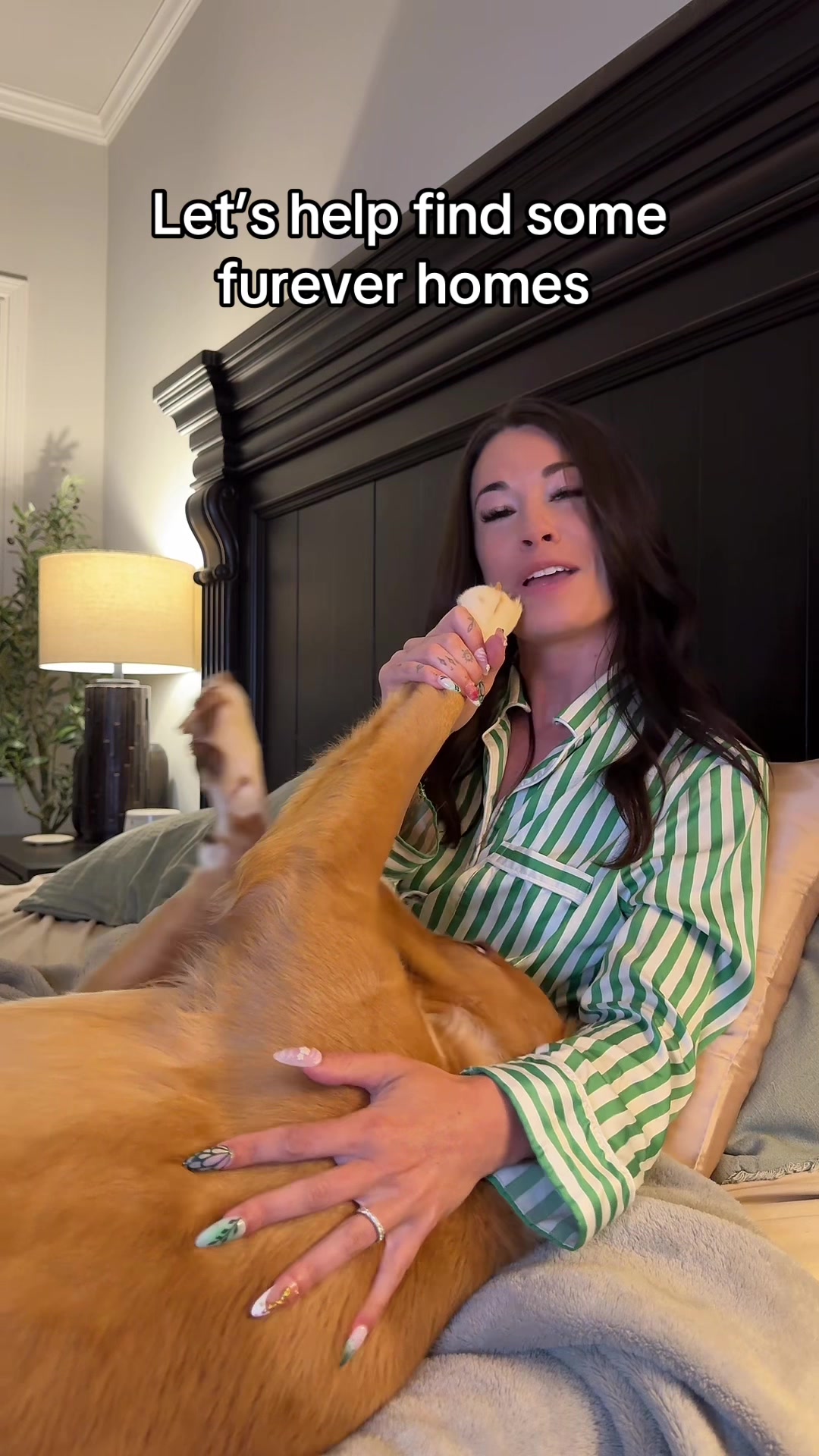 @My Dog&rsquo;s Dope