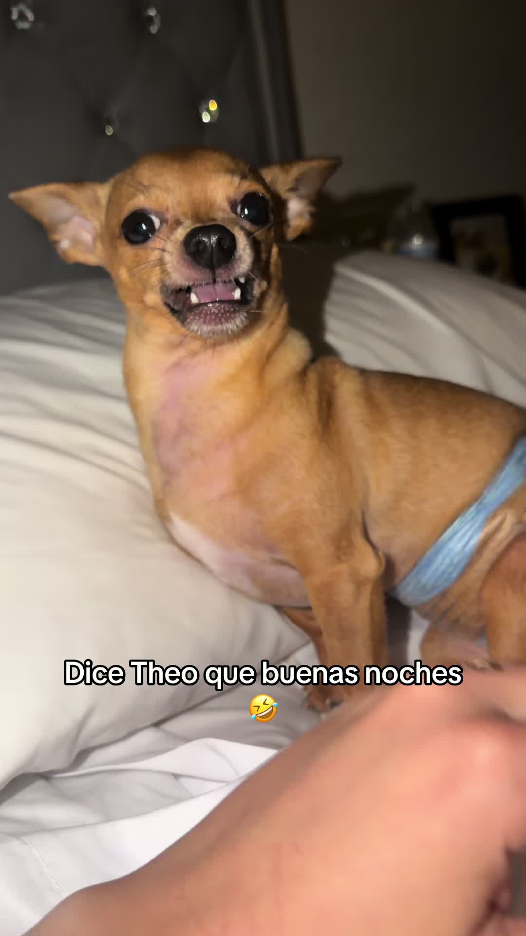 @Gloria Hernandez