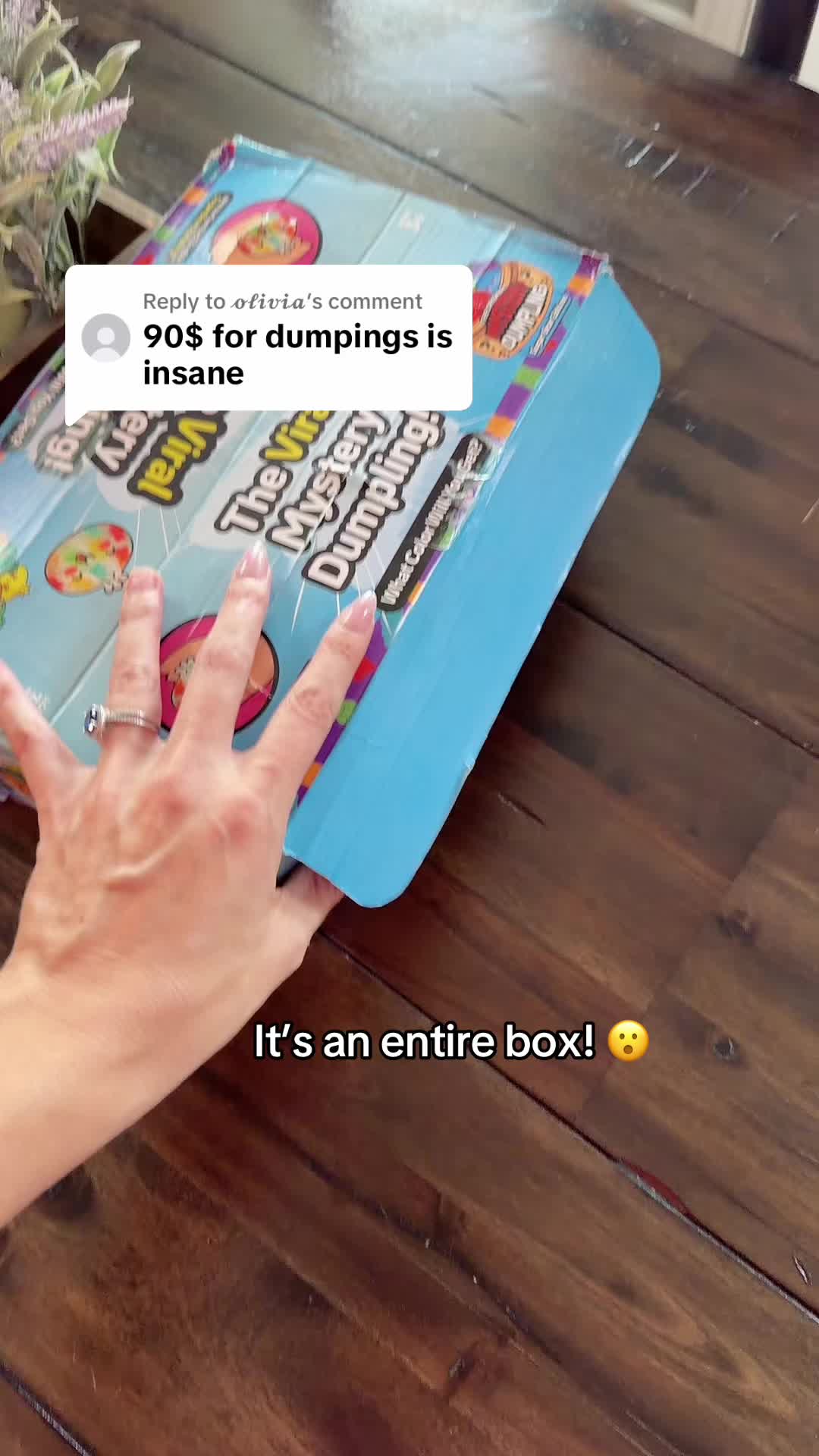 @mjvanicek