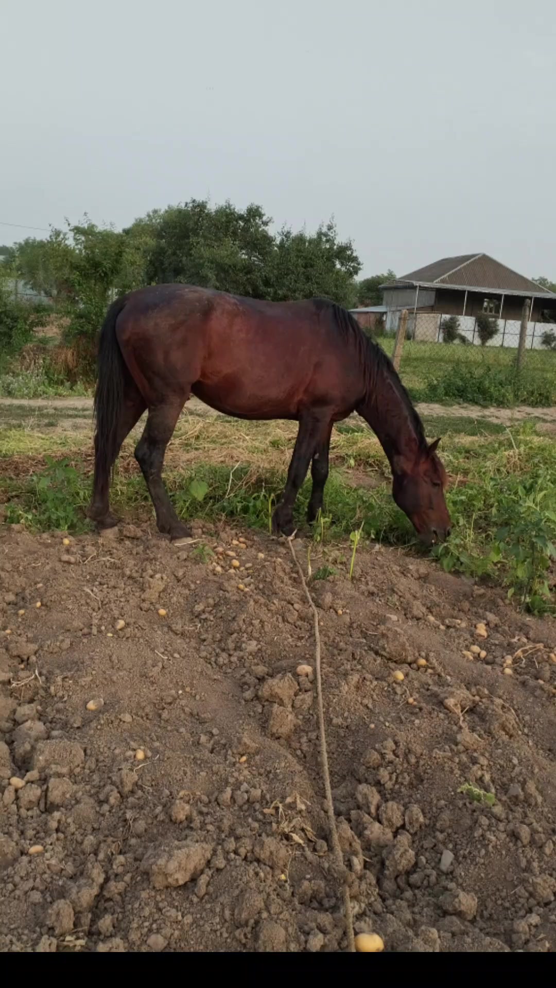 @İsmayıl_749