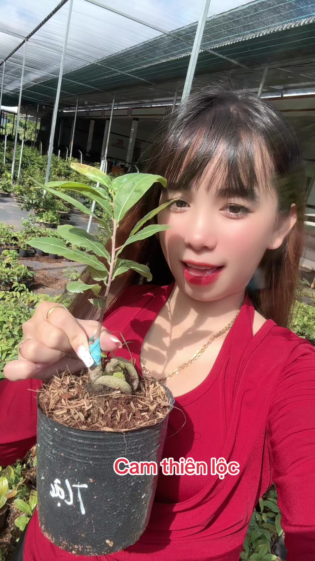 @Chichchoebong79