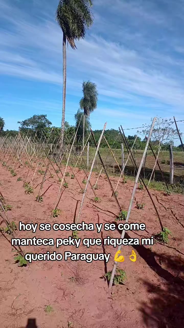 @María Liz Chávez 🇵🇾♥️