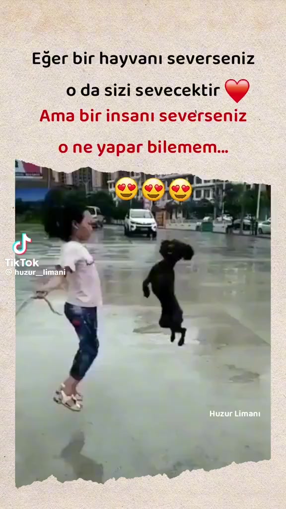 @Senol Ceylan740