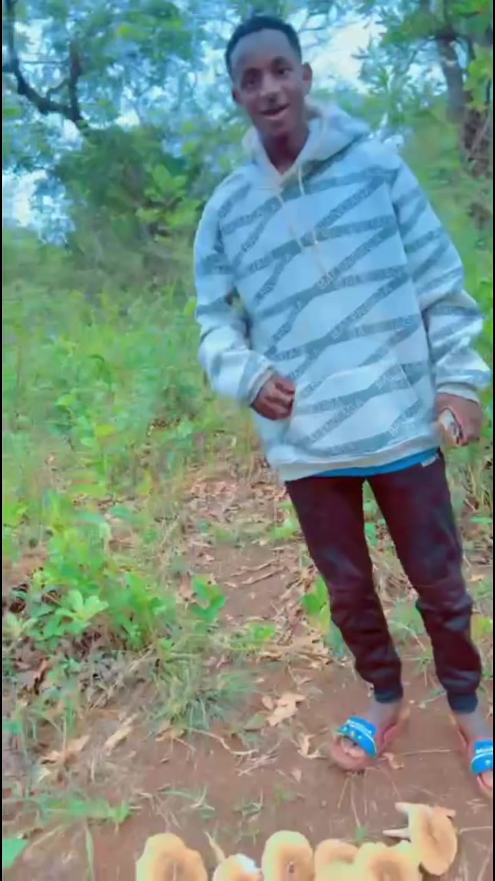 @el_adams_le_genie_off🇨🇲237