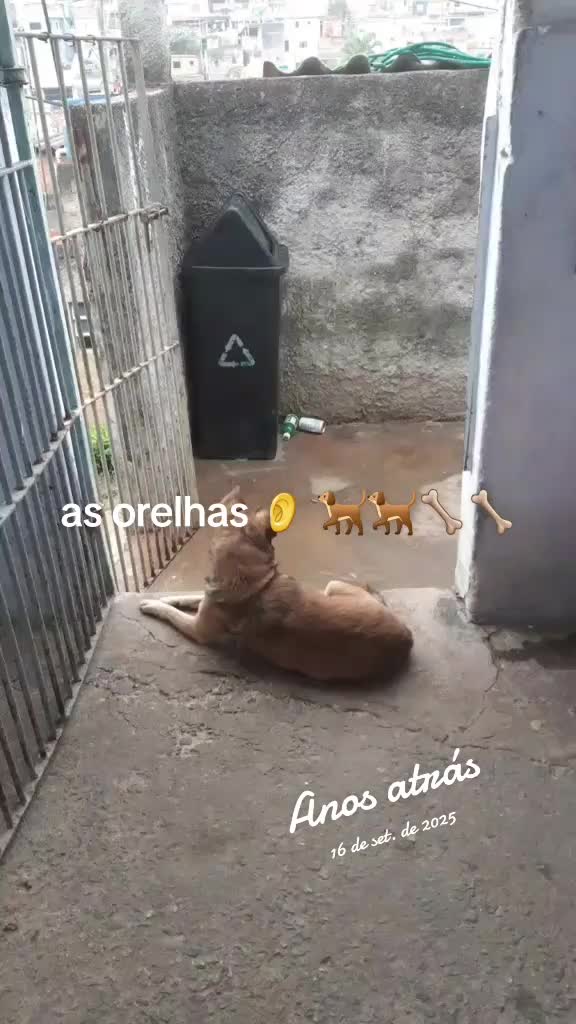 @José Wilson Rodrigues Barbosa