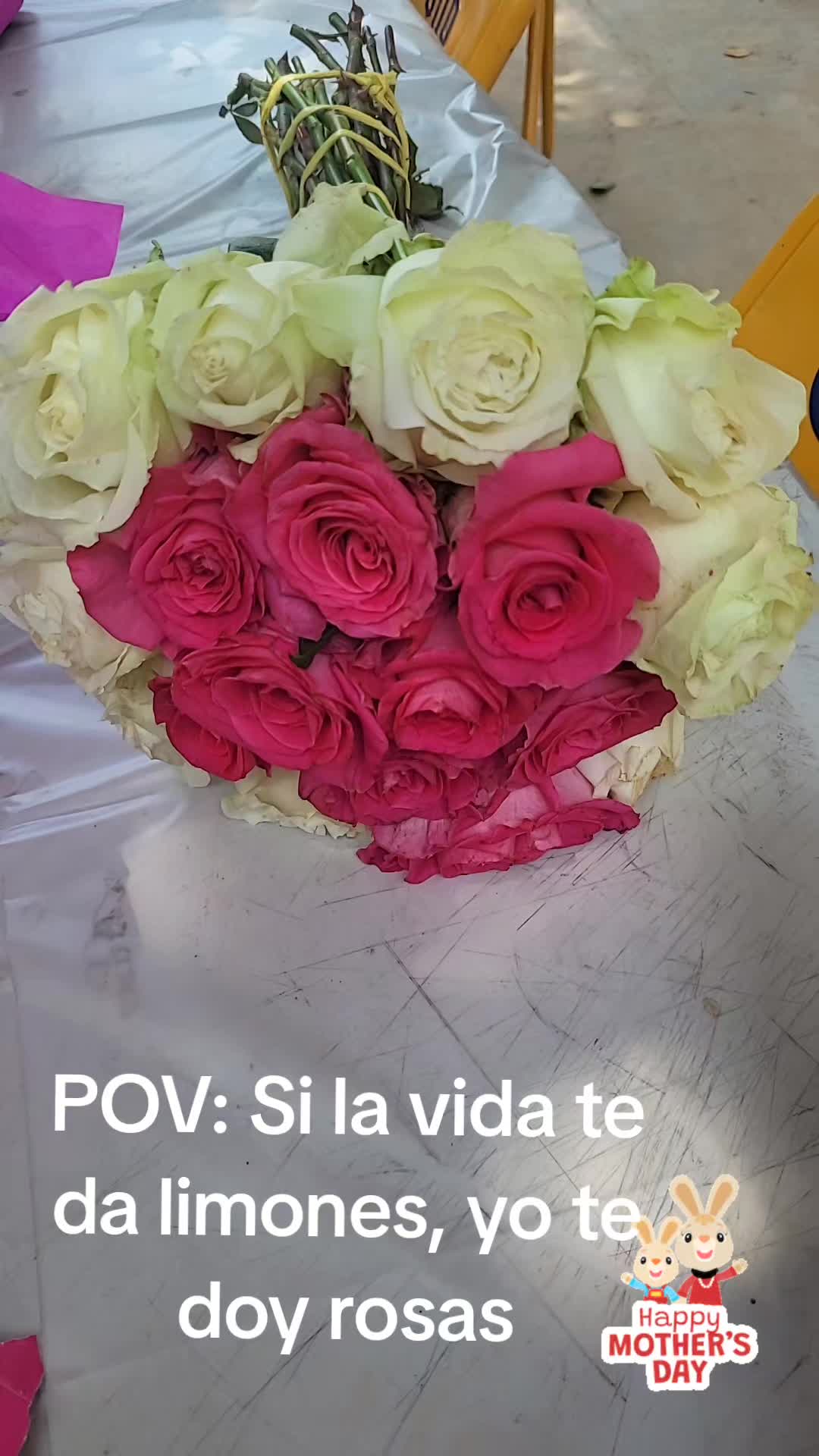 @lucy