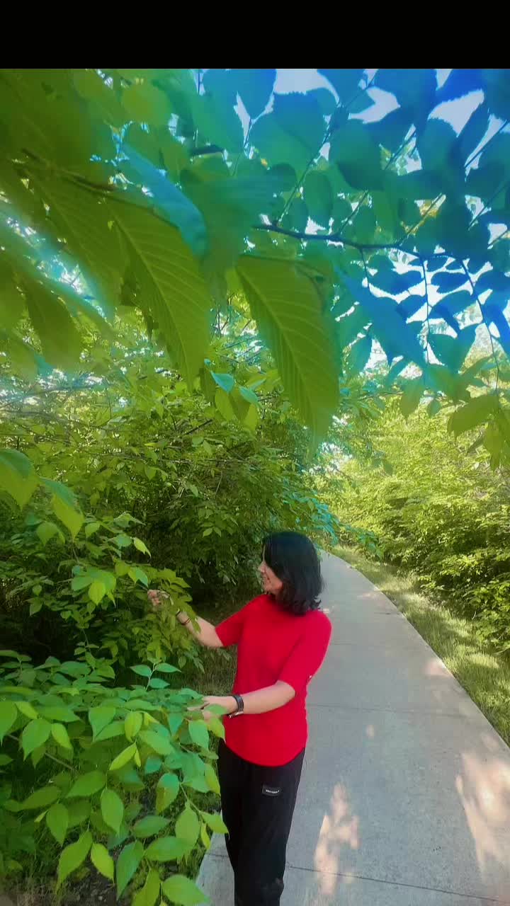 @Ra Ma