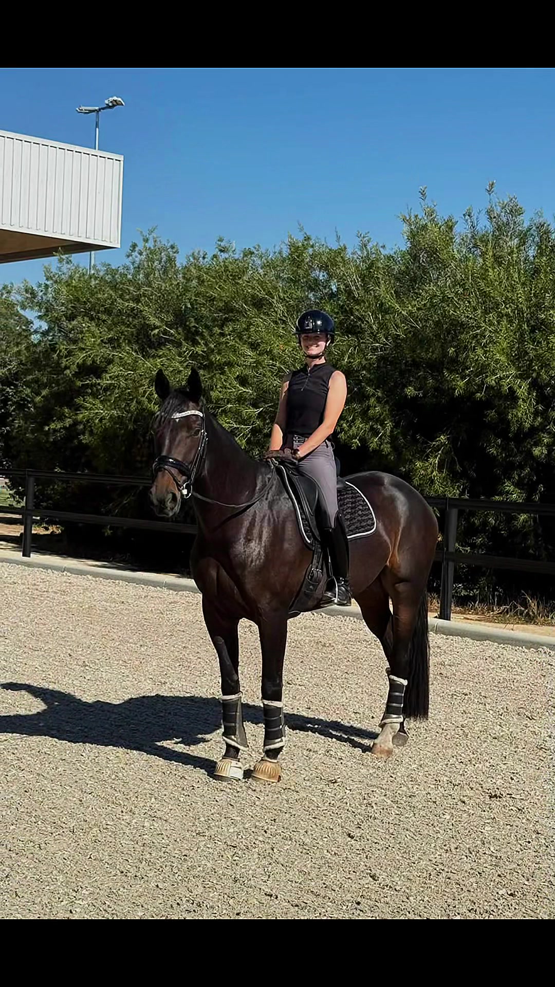 @Suzin- Para equestrian