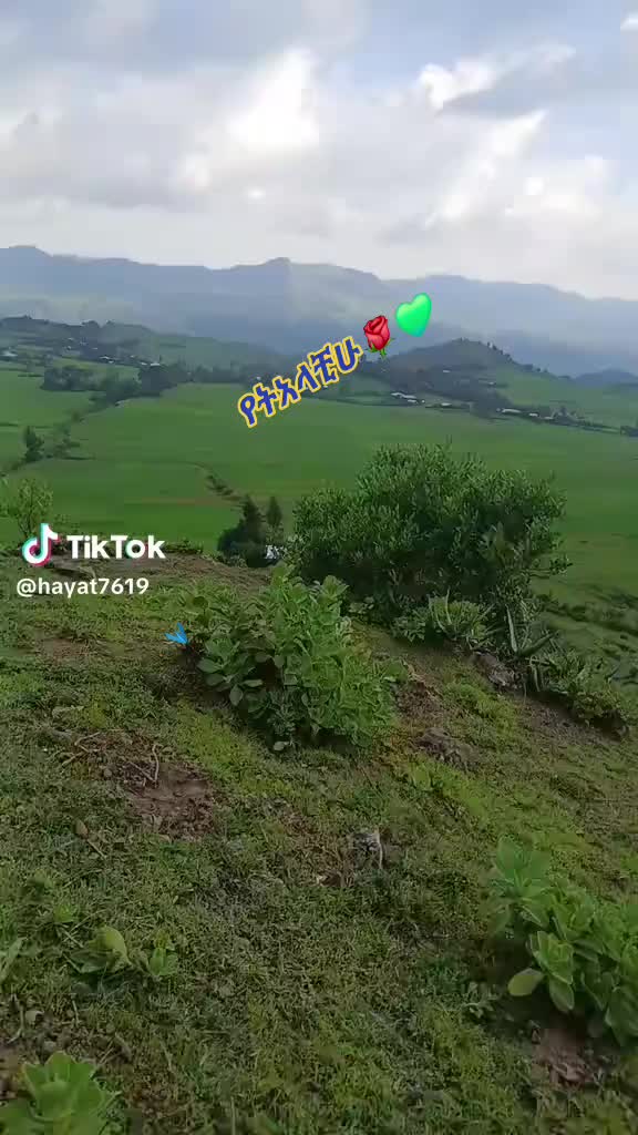 @ትንሿነኚ❤የገነቴዋ