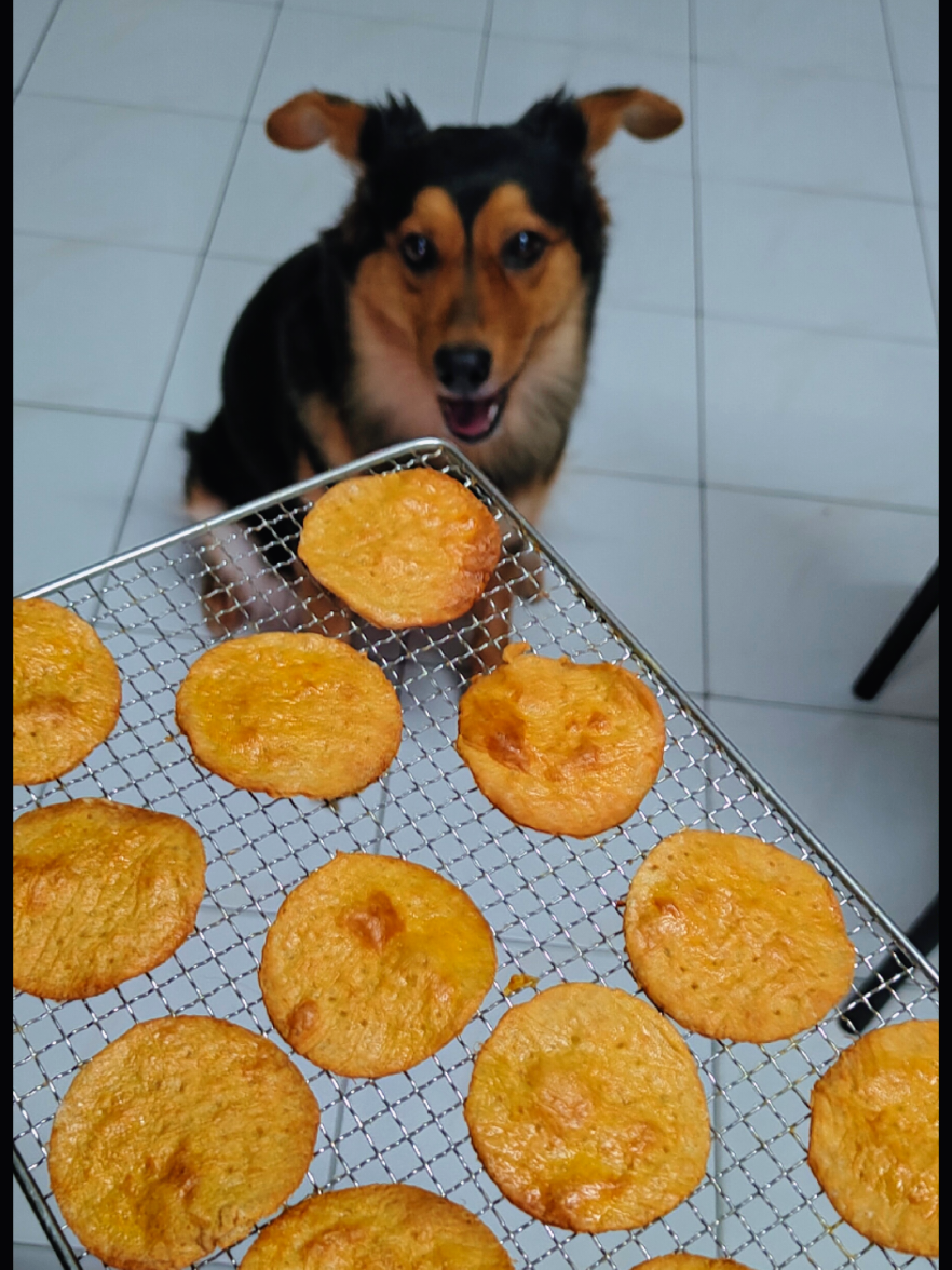 @Cholanz🐕
