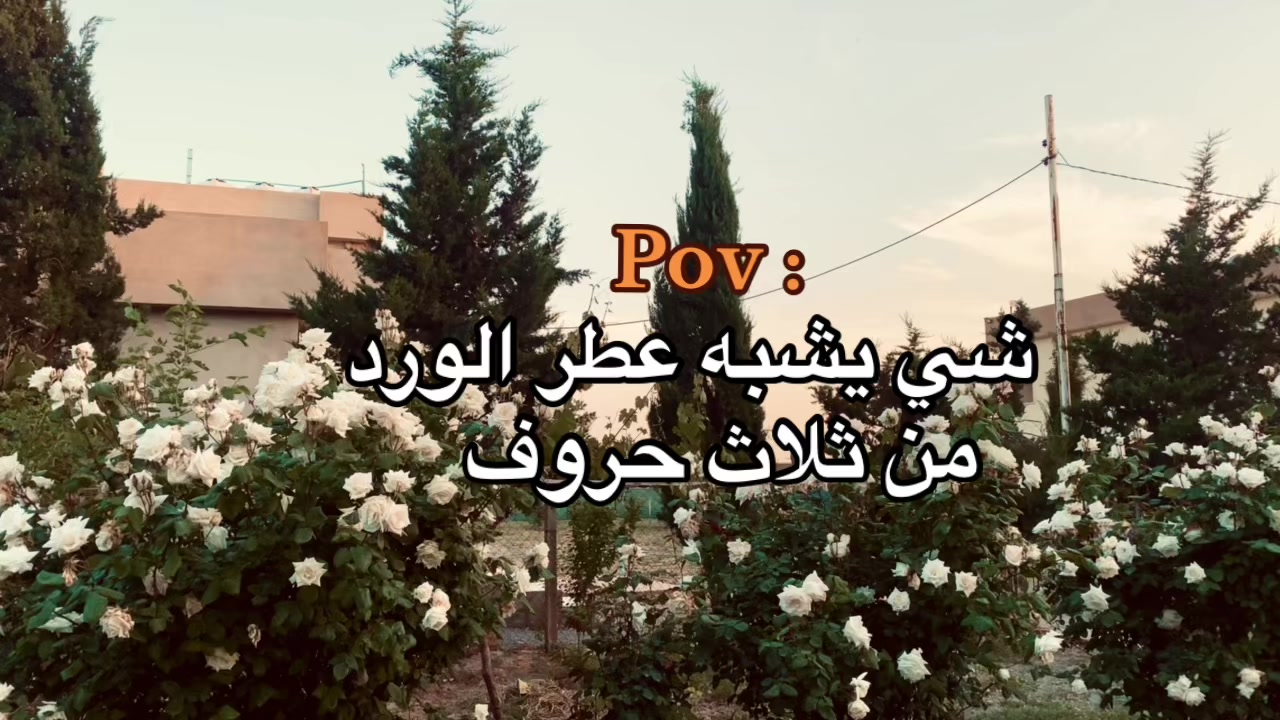 @سيف دحام | 𝐒𝐀𝐈𝐅 𝐃𝐀𝐇𝐀𝐌