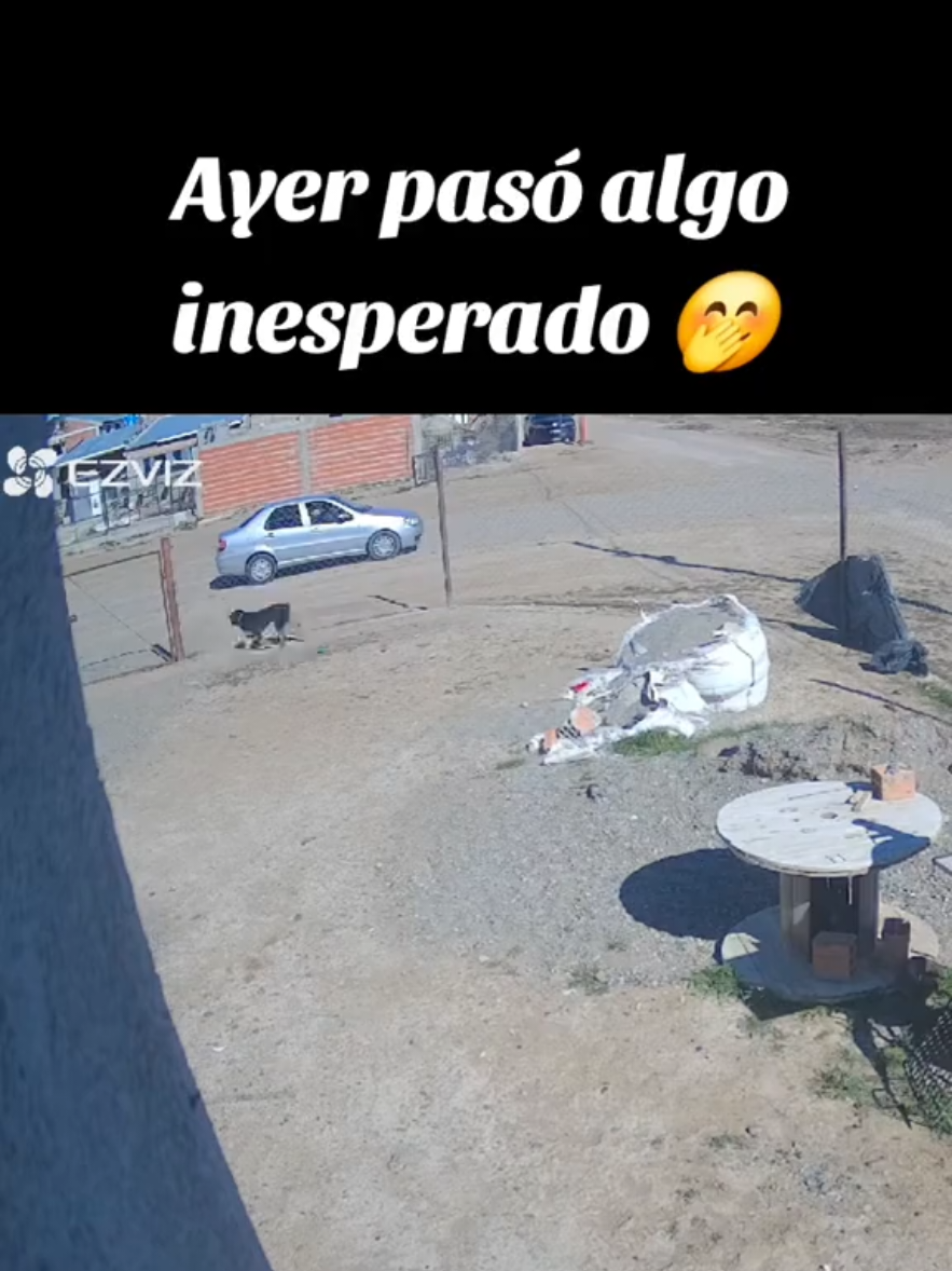 @Ro Alonso