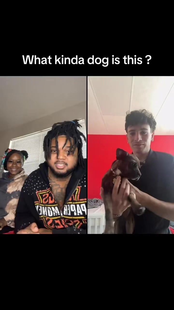 @coupleoffools1