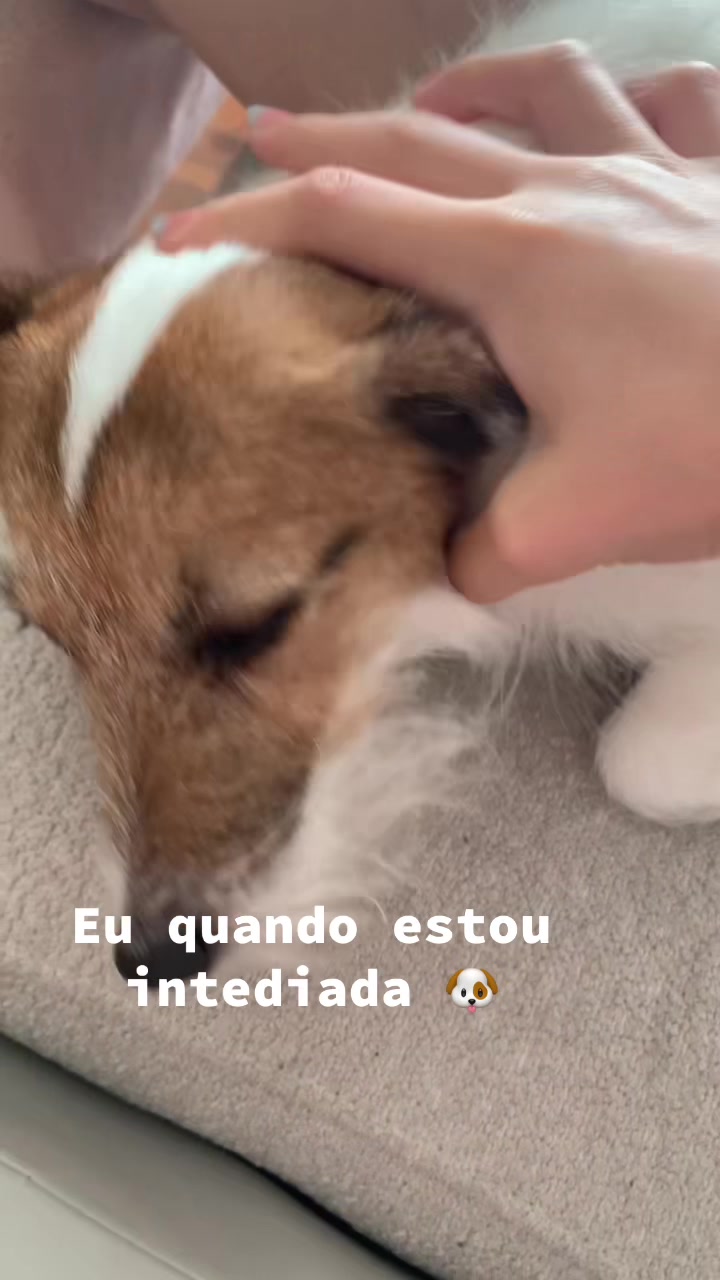 @elisa.divertida