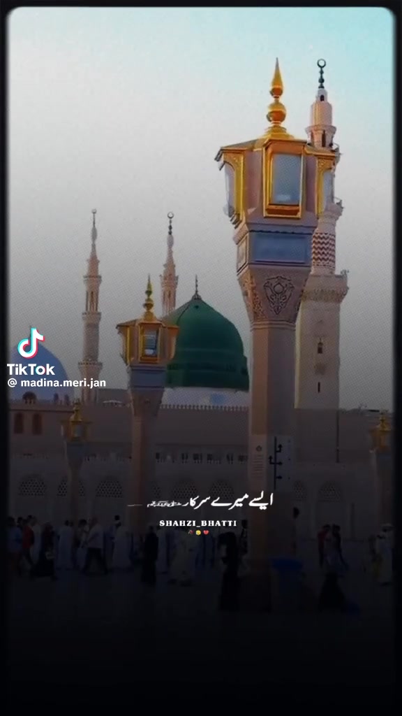 @misbah.hamid66