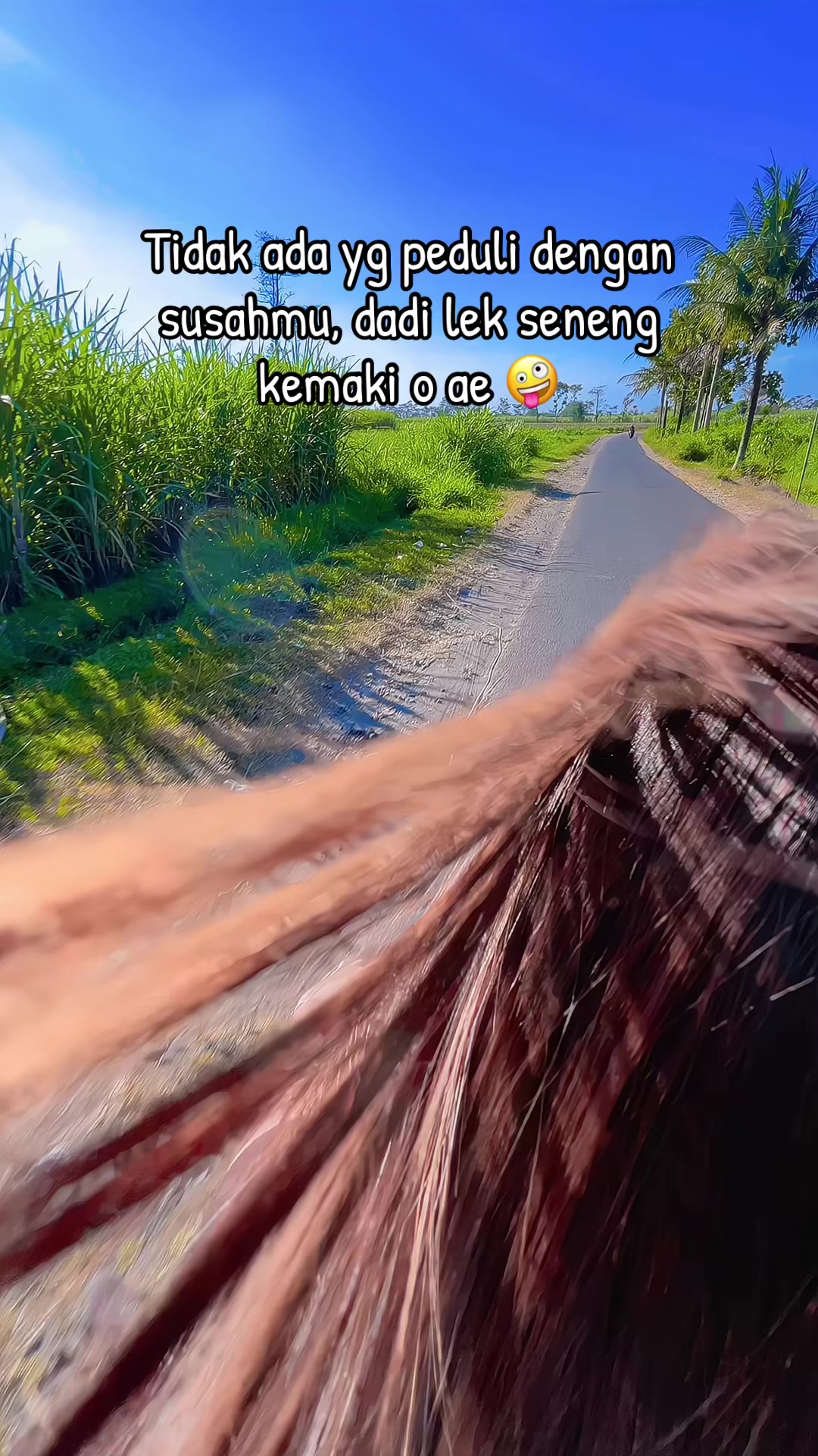 @Ayy 🦀