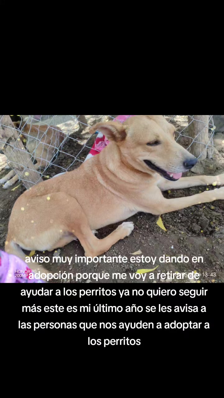 @casa hogar milagros 505 🇳🇮