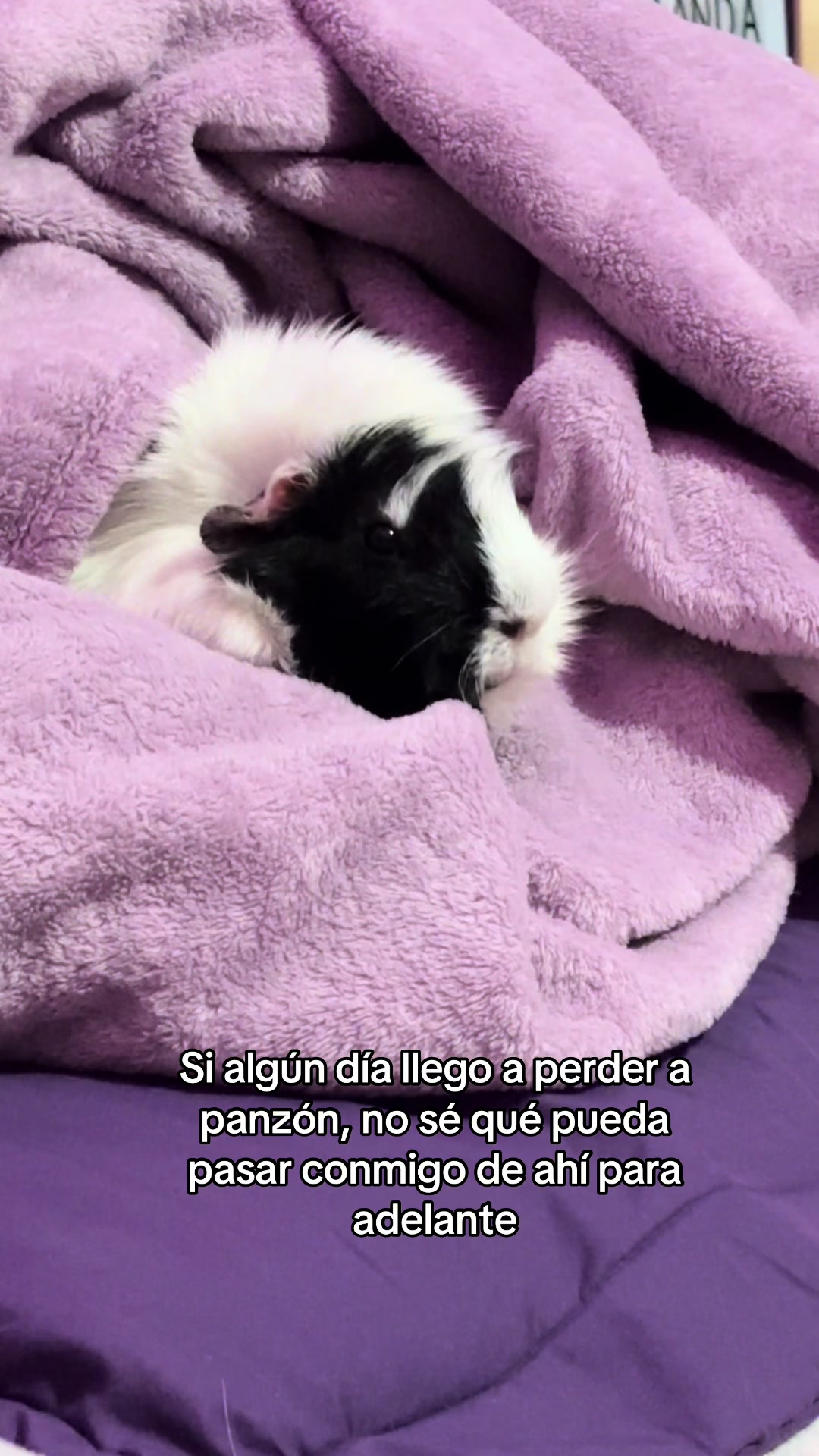 @Amanditititita