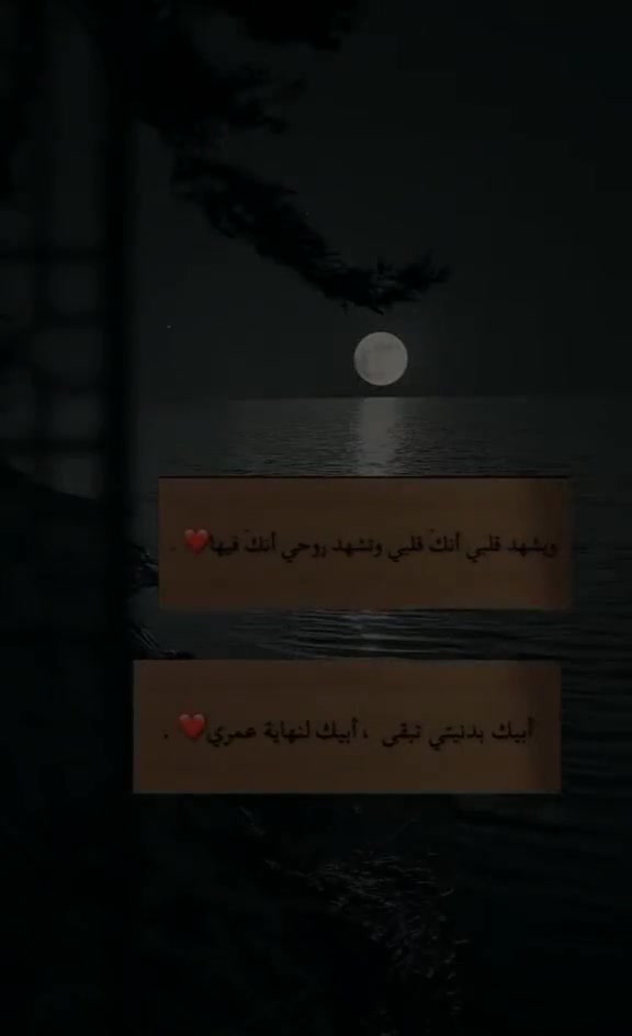 @خائب🌔| 𝟗𝟔𝟑🪫