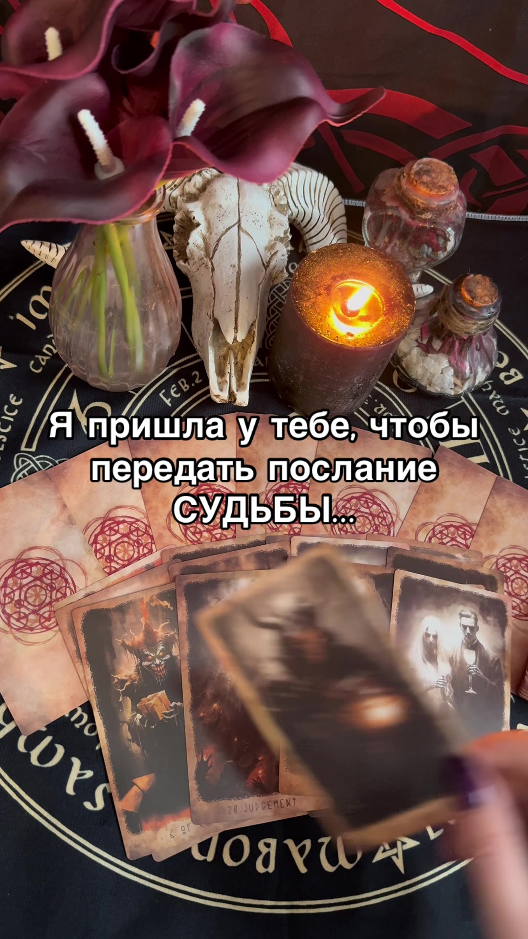 @Oksi_fox
