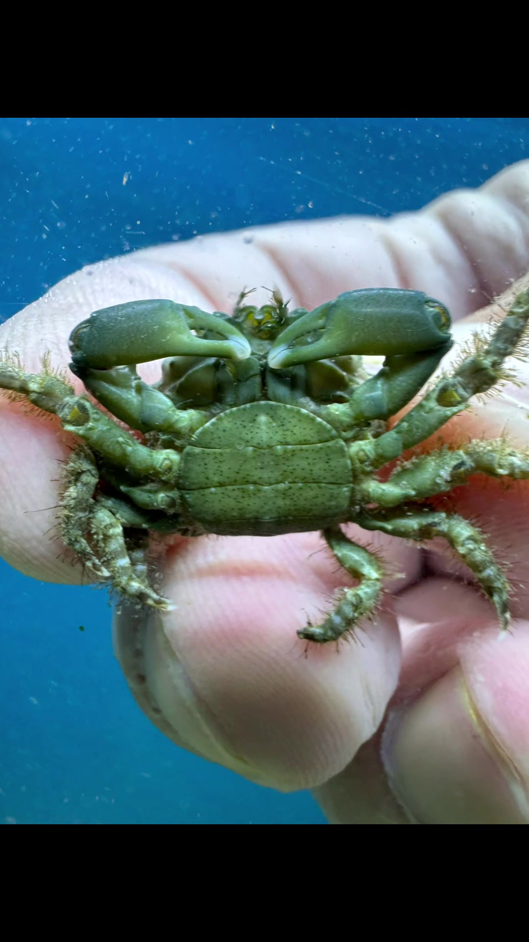 @fintastic aquariums