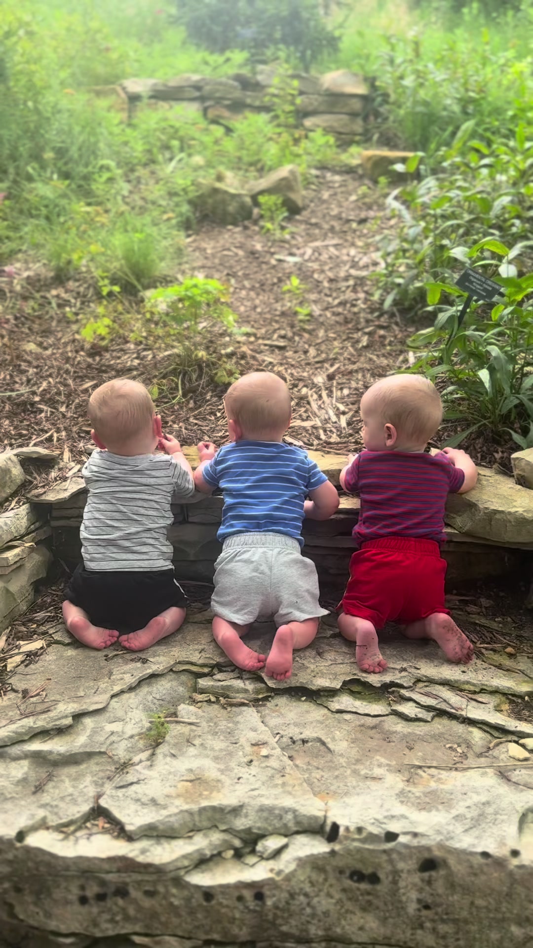 @Emily Damet &bull; Triplet Mom