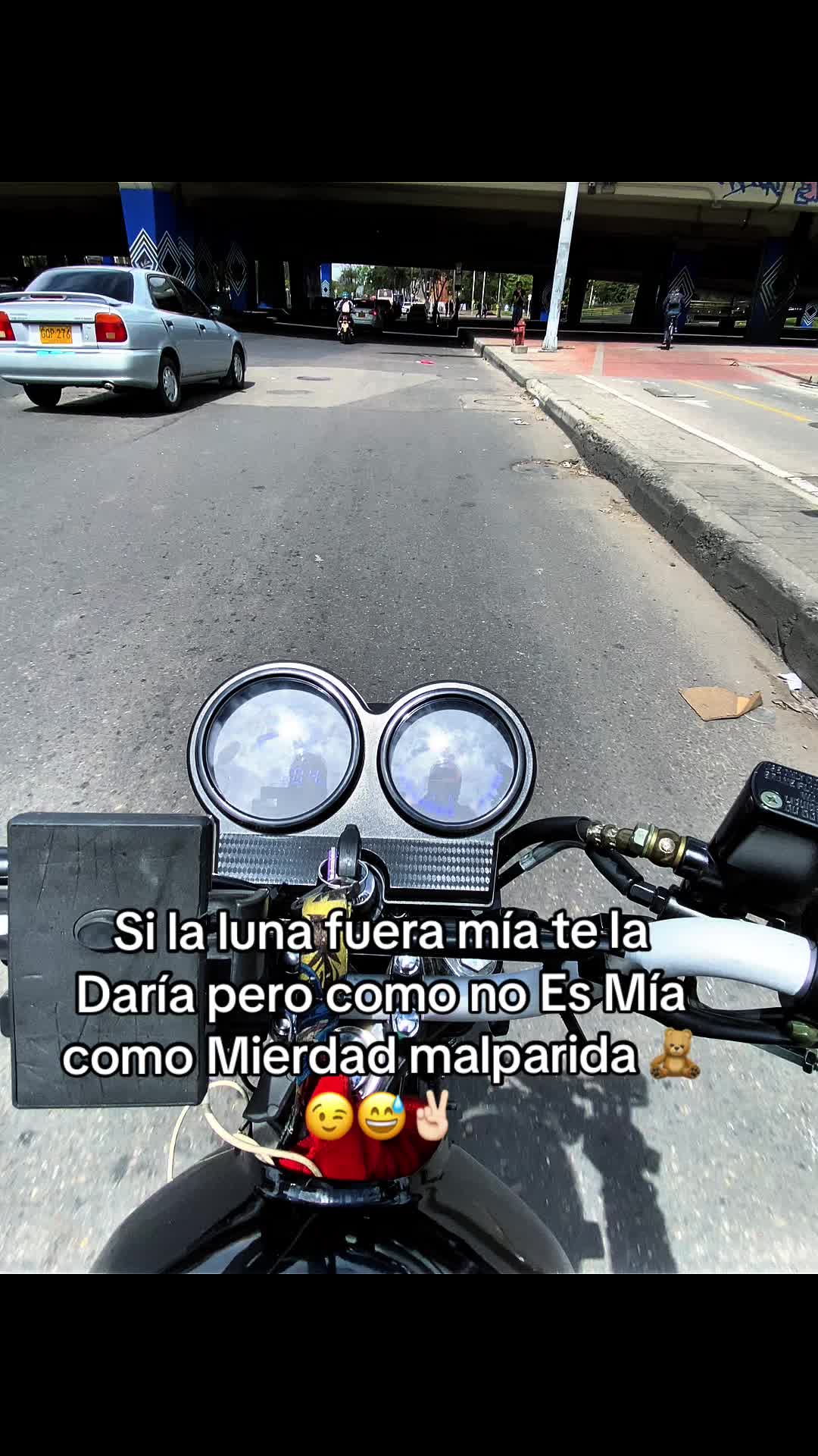@peluchefox🧸