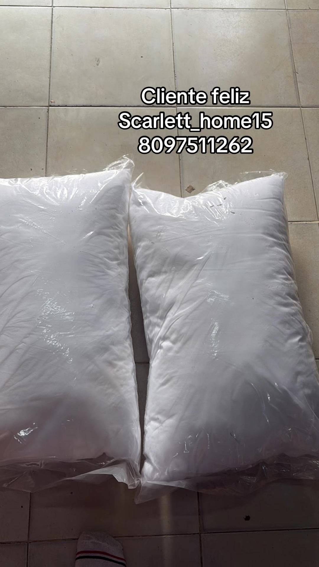 @Scarlett Home8097511262