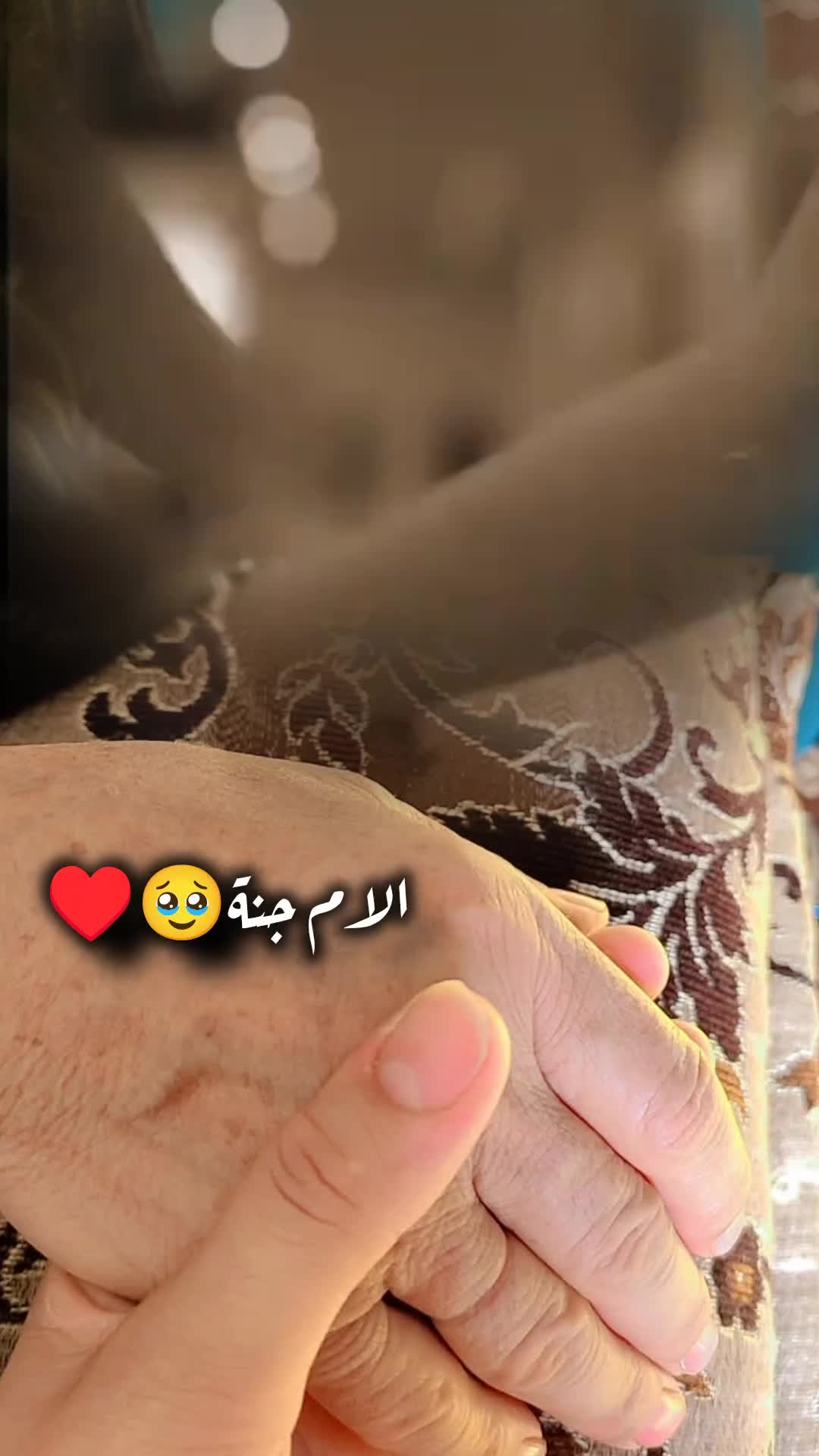 @عبير الورد🍃❤️