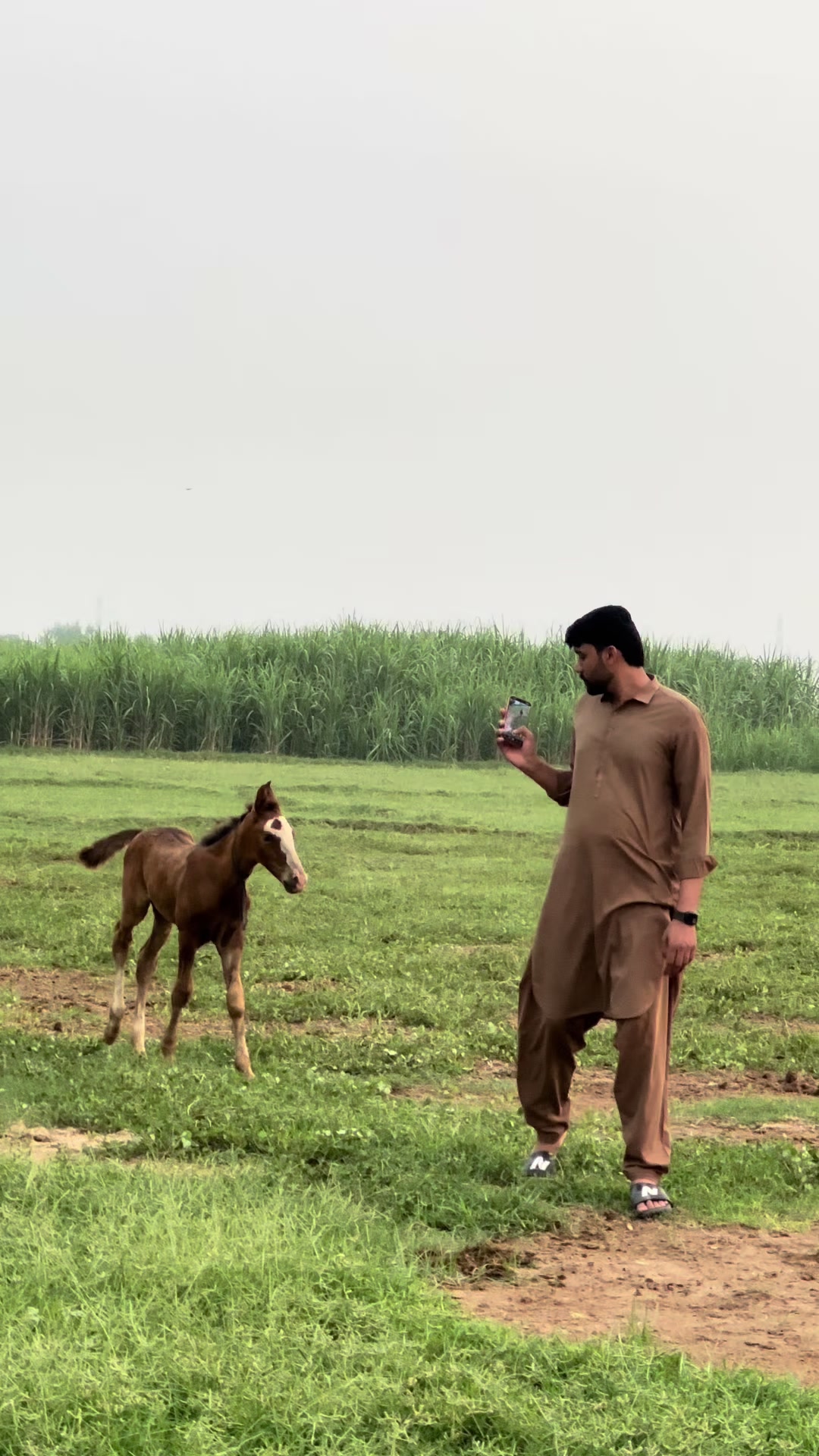 @CH ADEEL GUJJAR (CAG