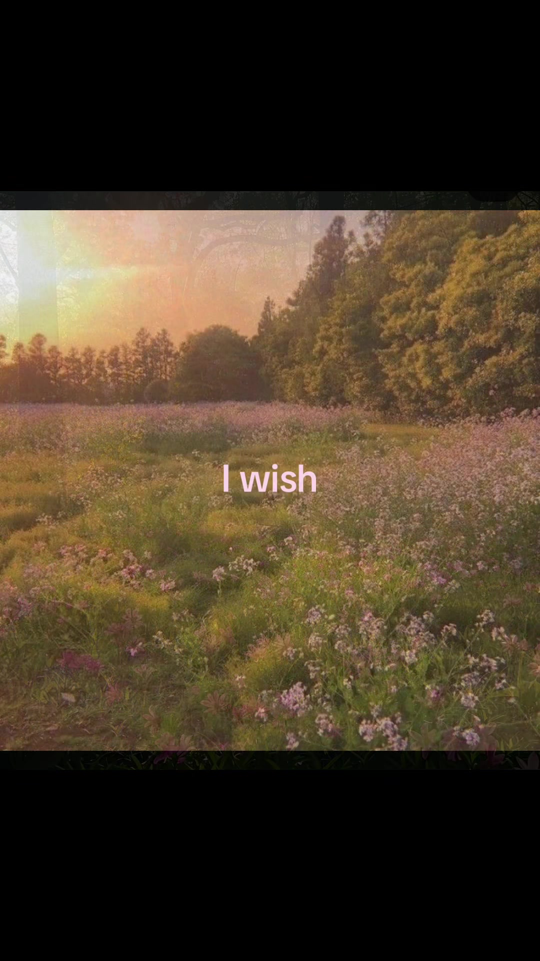 @ঌ 𝚣𝚎𝚕𝚕𝚊 ໒꒱˚。⋆