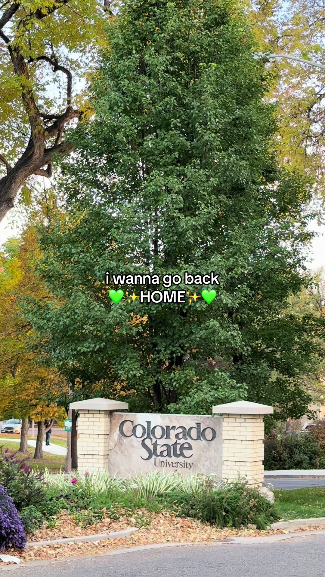 @Colorado State University