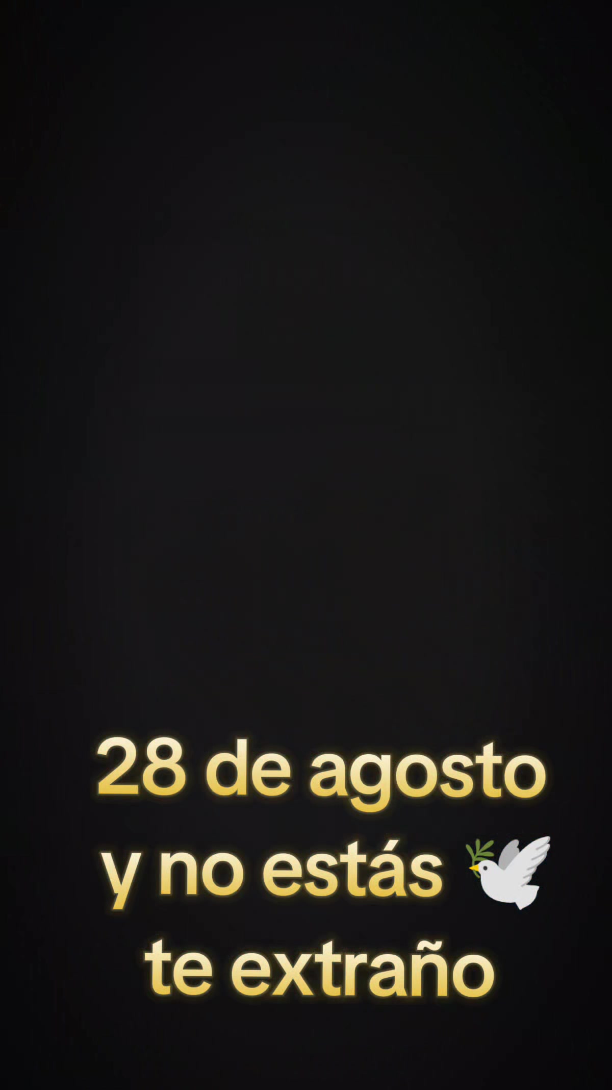 @Bibi Flores