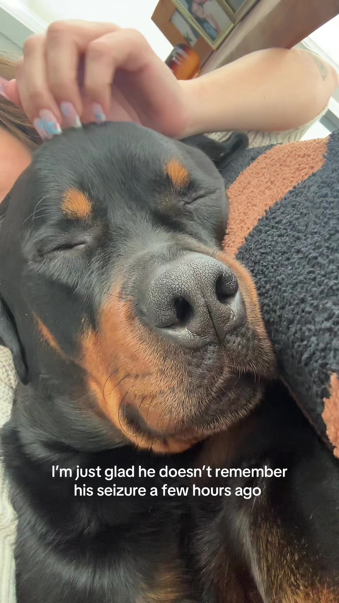 @Moose The Rottie