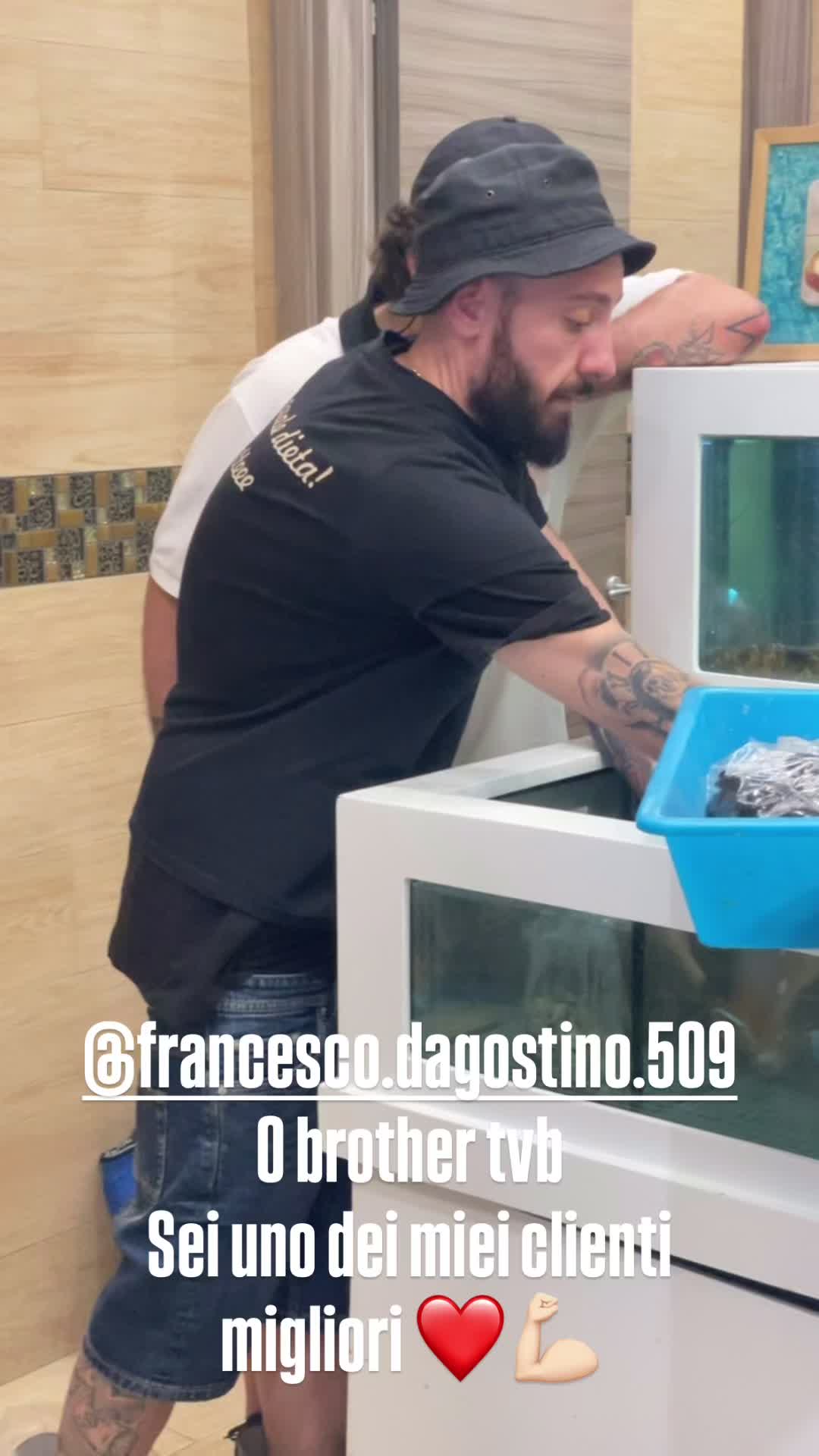 @Il sole di notte