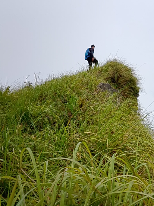 @wong-win win