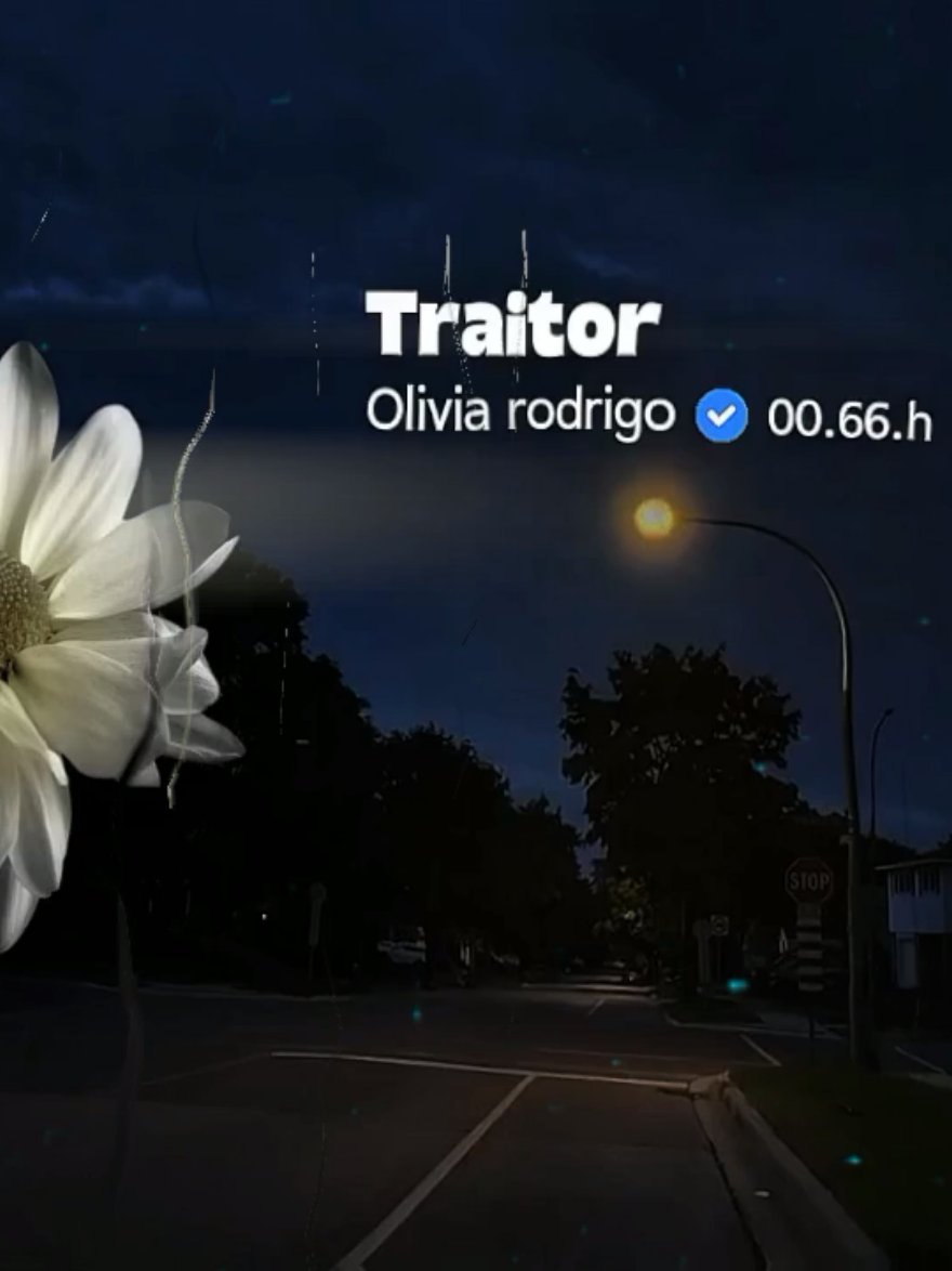 @𝟑𝟎𝟑 𝐑𝐢𝐳𝐤𝐲.