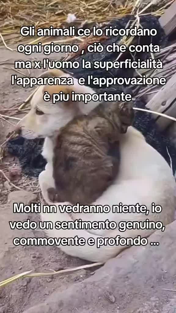 @Eleonora