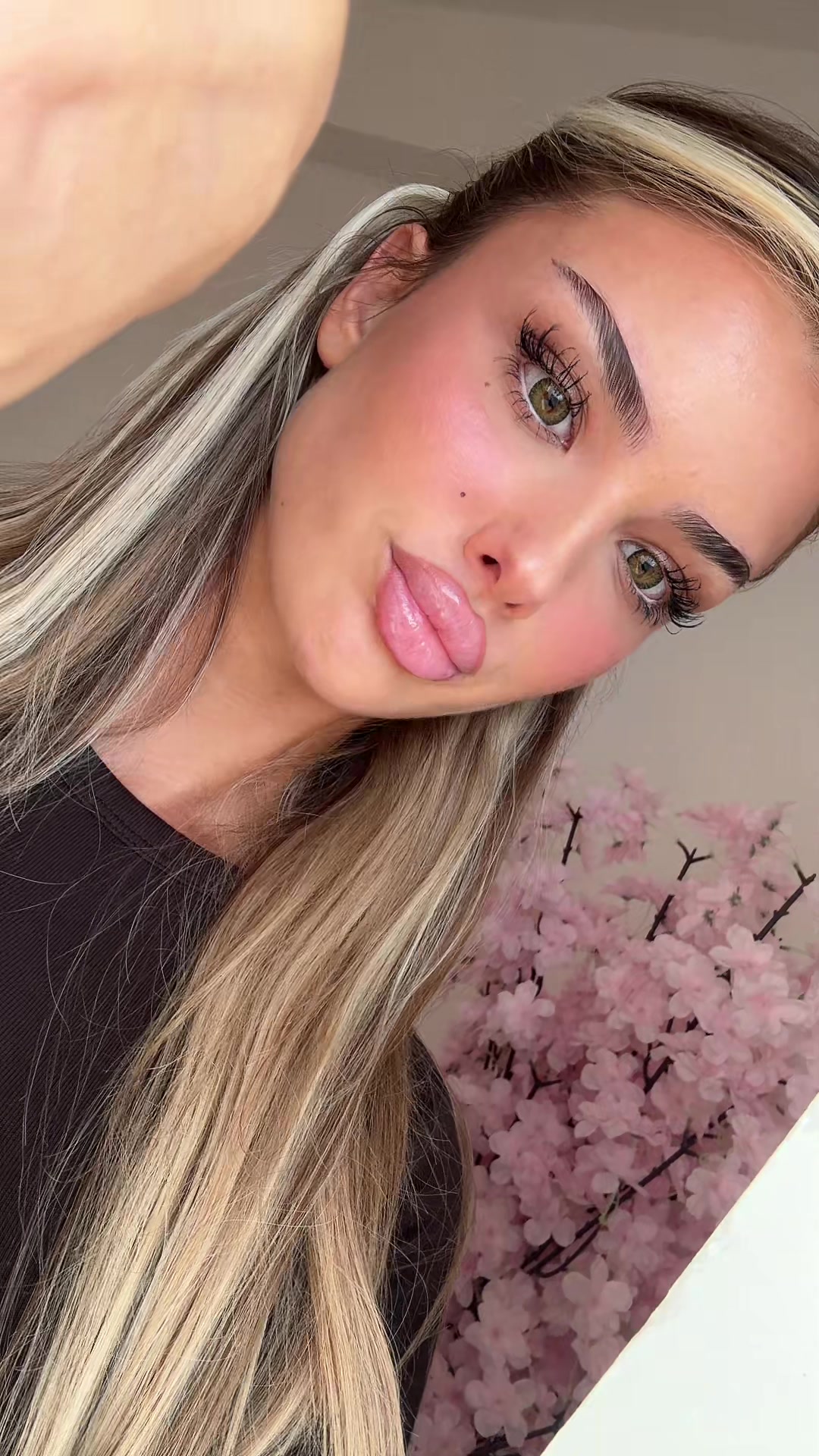 @Šeki