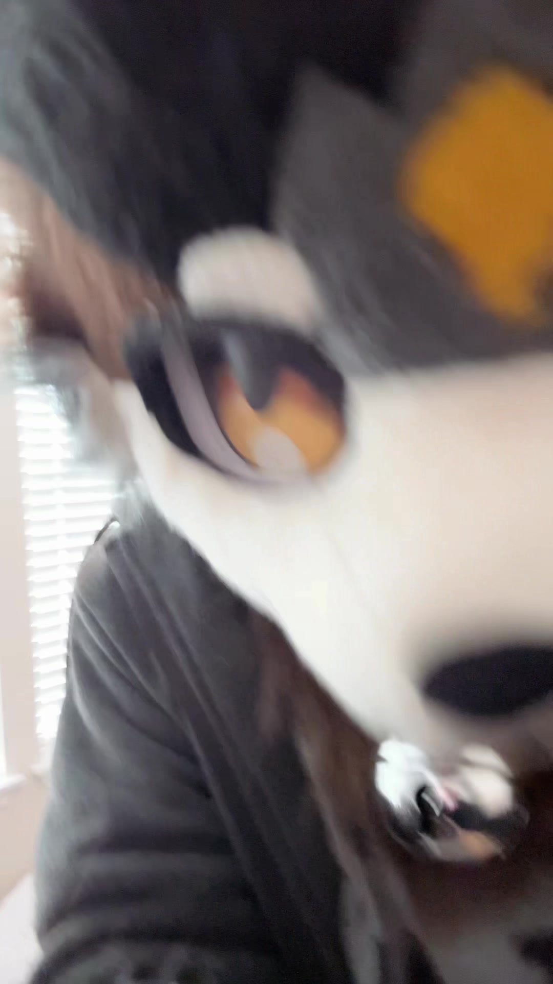 @🩶𝒮𝓊𝓅ℯ𝓇𝓃ℴ𝓋𝒶🩶
