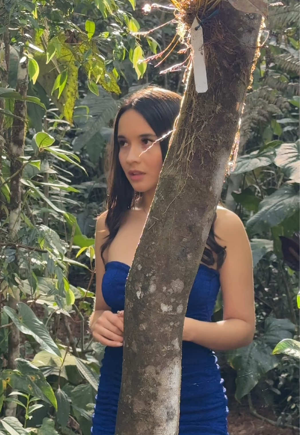 @itscielo.co
