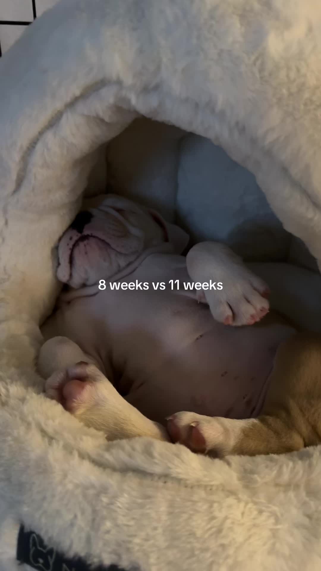 @omgdani