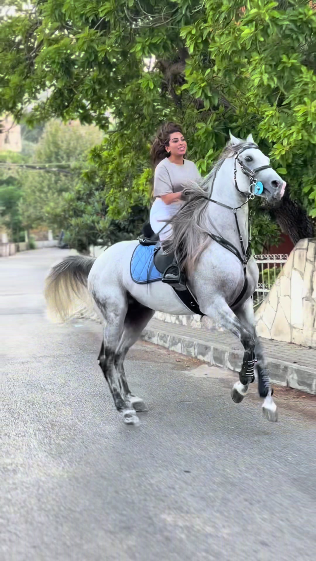 @لــيــن🐎